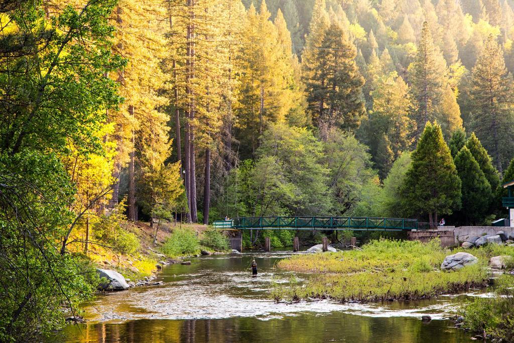 Yosemite Lakes River Yurt 22 Harden Flat Exterior photo